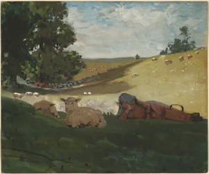 Warm Afternoon (Shepherdess)